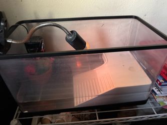 Reptile Enclosure Tank with Heat Lamp