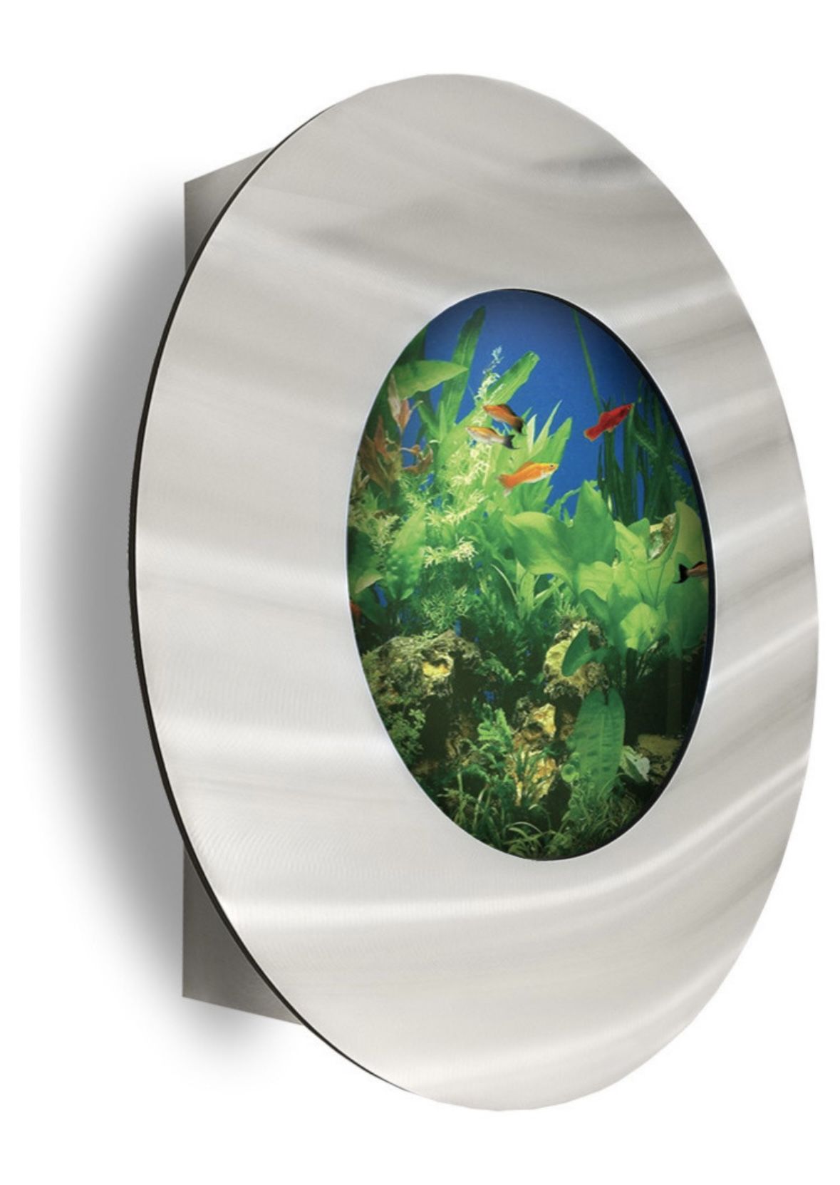 Porthole Fish Tank With All Accessories Included