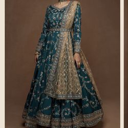 I Dian/Pakistani Dress