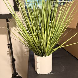 Artificial House Plant 