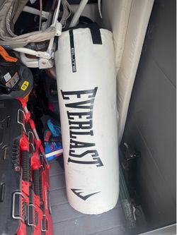 Everlast punching bag