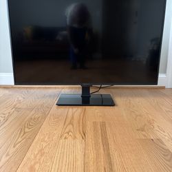 Insignia 43” TV & TV Mount