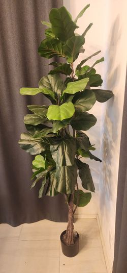 Plant tree