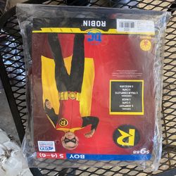 Robin Costume