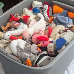 Beanie Babies - Whole Tub Full! Vintage 90s Early 2000s