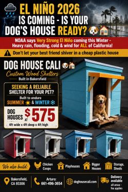 Pet shelter, dog house