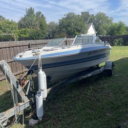 Sea Ray Mercruiser Classic 