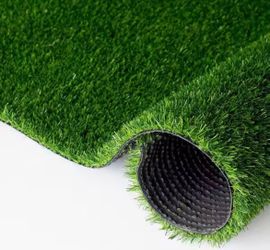 Grass