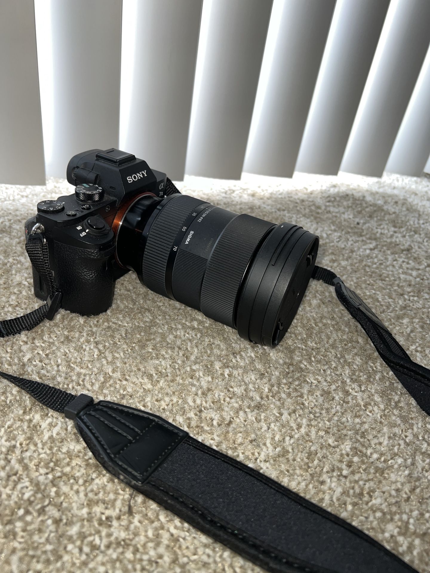 Sony A7ii W/ Sigma 24-70mm