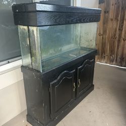 55 gal tank with filtration system, stand, and lights