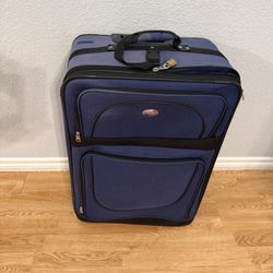 Check- In luggage.