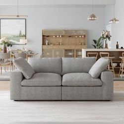 New in Box – Sofatica CloudForm™ 2-Seater Modular Sofa | Gray | Luxury Cloud Couch
