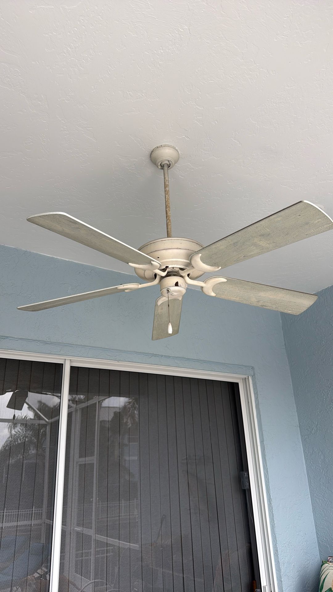 Fan