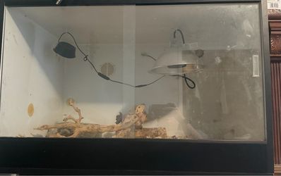 Lizard enclosure
