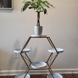 Gold metal plant stand