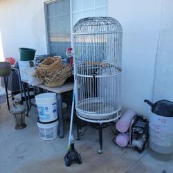 Bird Cage