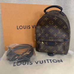 Louis Vuitton Palm Springs Mini 