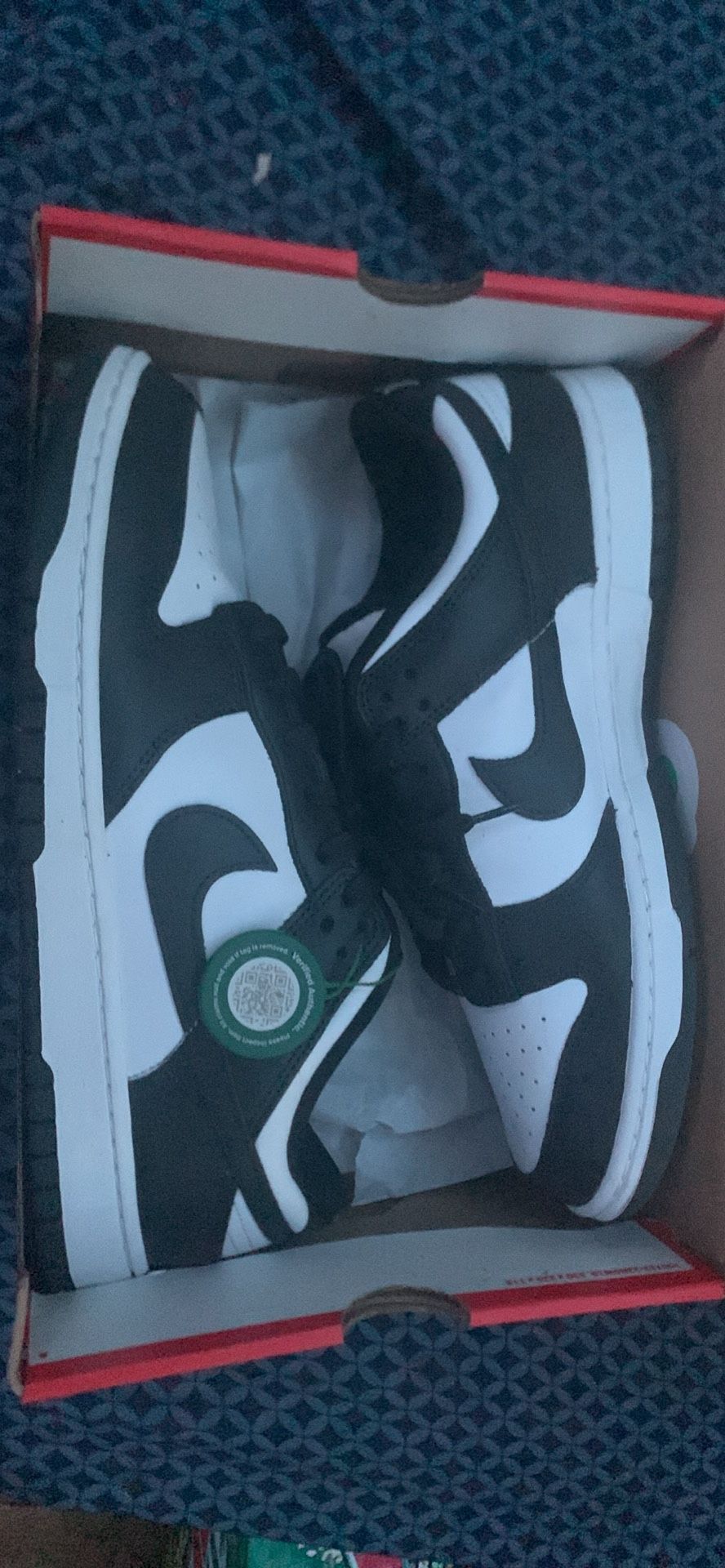 Size 12 Brand New Nike Dunk Low Retro