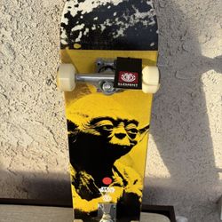 Brand New Skateboard 