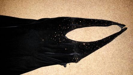 Black valour dress with brown sequence, kinda has a tail. Fits a large or extra large. Must be able to pick up