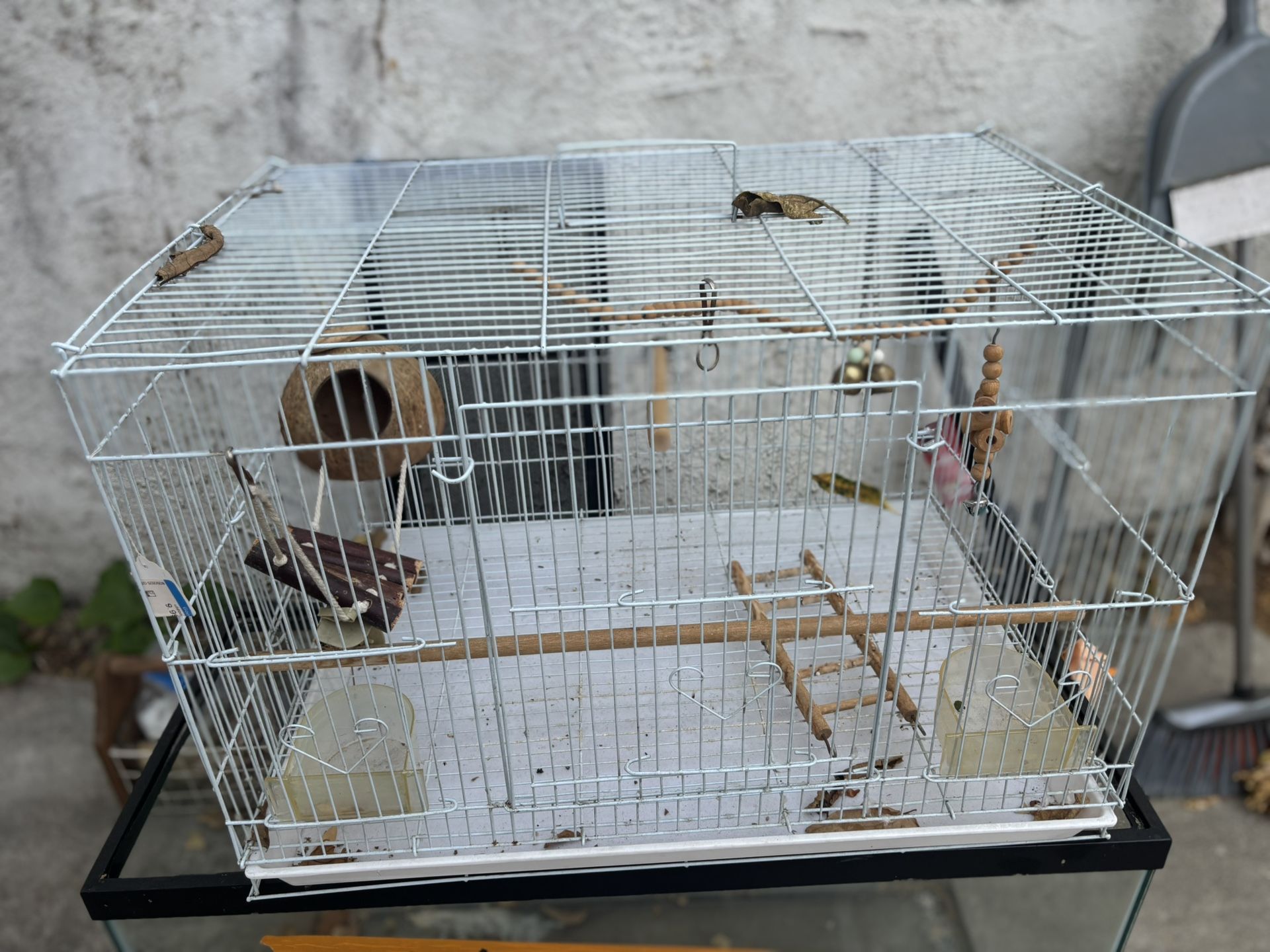 Bird Cage 