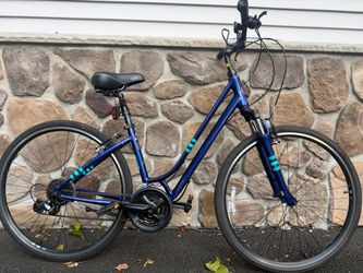 Giant liv bike