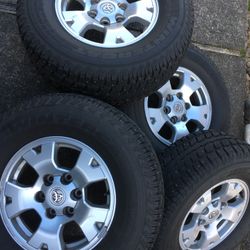 Winter Studded Tires 