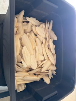 Cuttlefish bone for pets/ bill