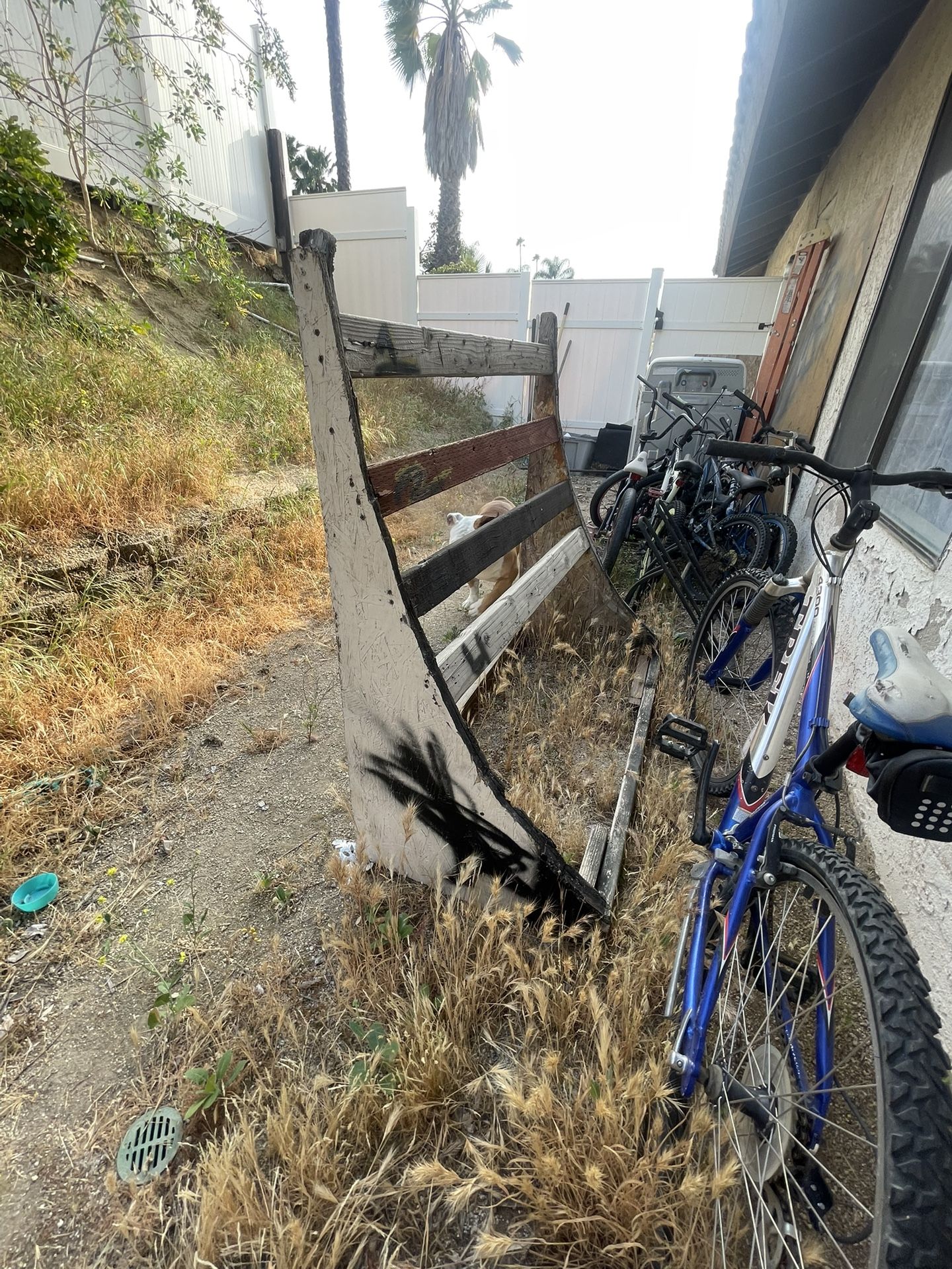 Bike Needs Tlc