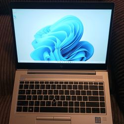 HP EliteBook Laptop Intel Core i5 8th Gen 8 GB RAM 256 GB SSD 1080P LCD Webcam HDMI USB C Port Windows 11 Professional 