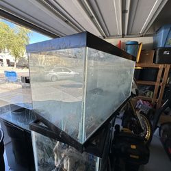 10 Gallon Fish Tank 