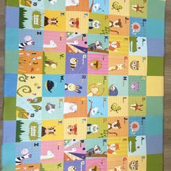 Large Reversible Cushioned Playmat 