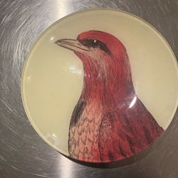John Derain  Round  Bird Decoupage