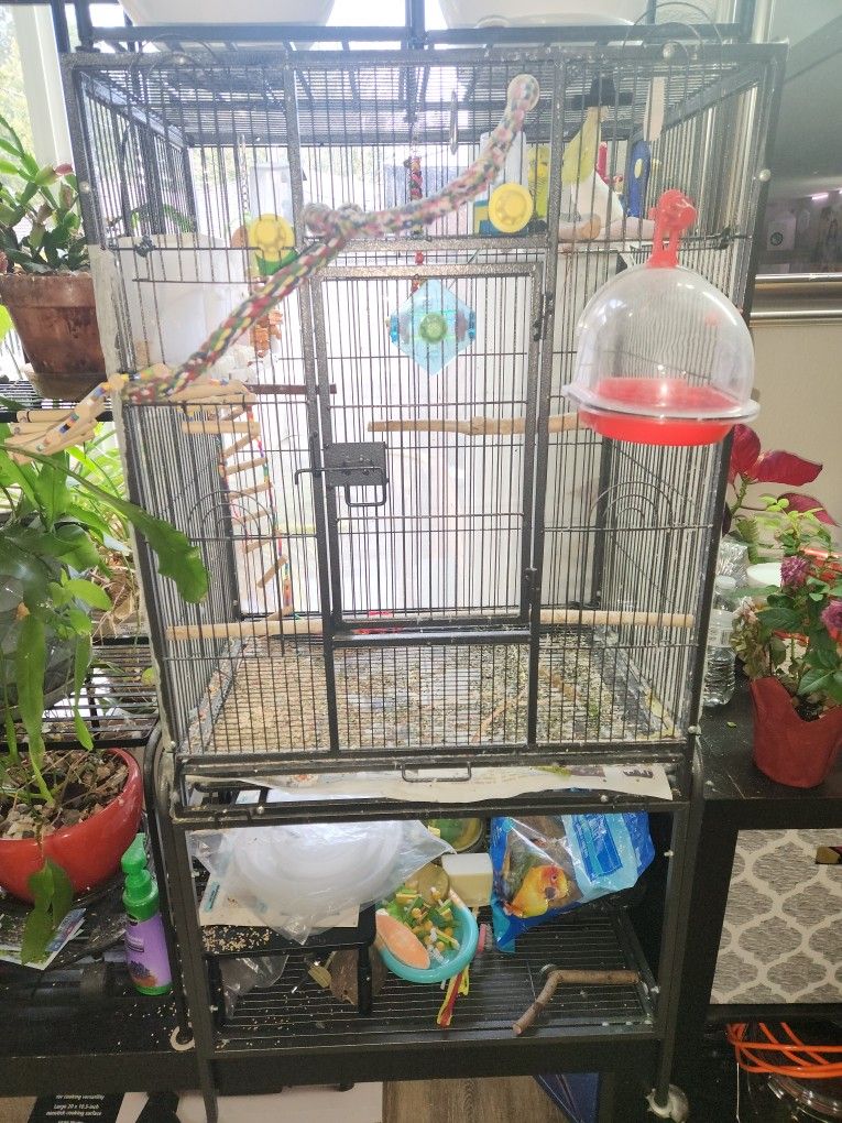Large Bird Cage With 3 Parakeets Budgies