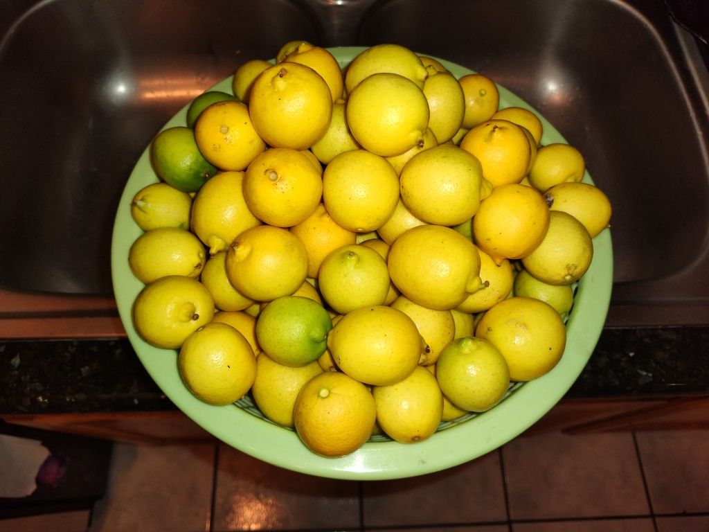 LEMON/LIMONES ORGANIC 10 x $1.00