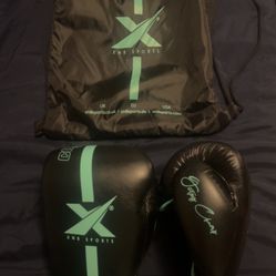 Xn8 Large Boxing Gloves And Bag