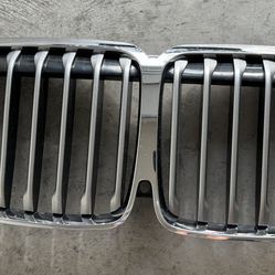 BMW X7 Grill