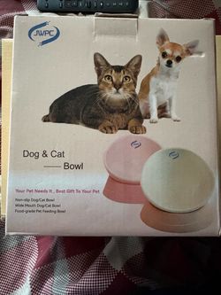 Dog and Cat bowl