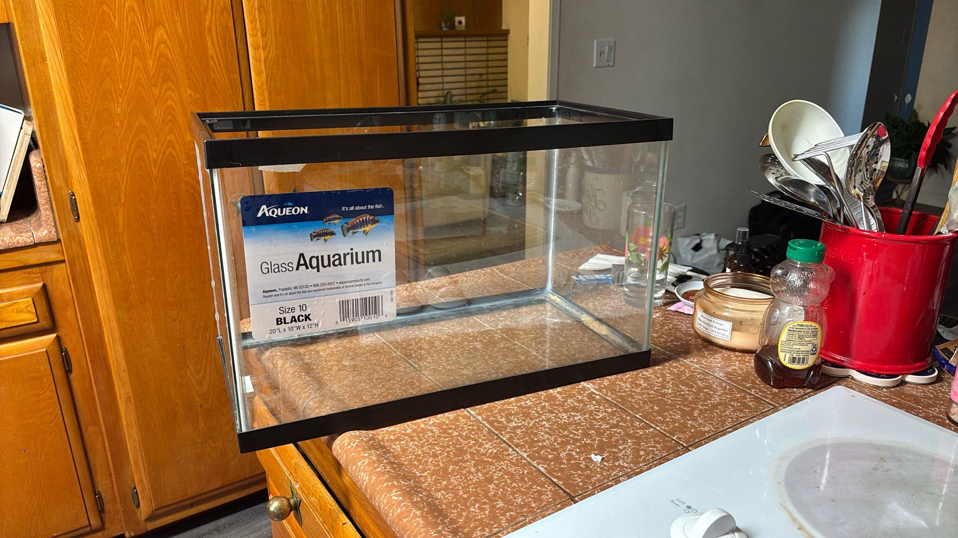10-gallon Aquarium Tank
