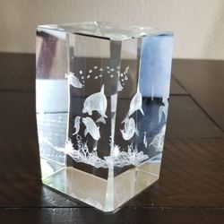 Glass Paperweights 2"×3" New! 