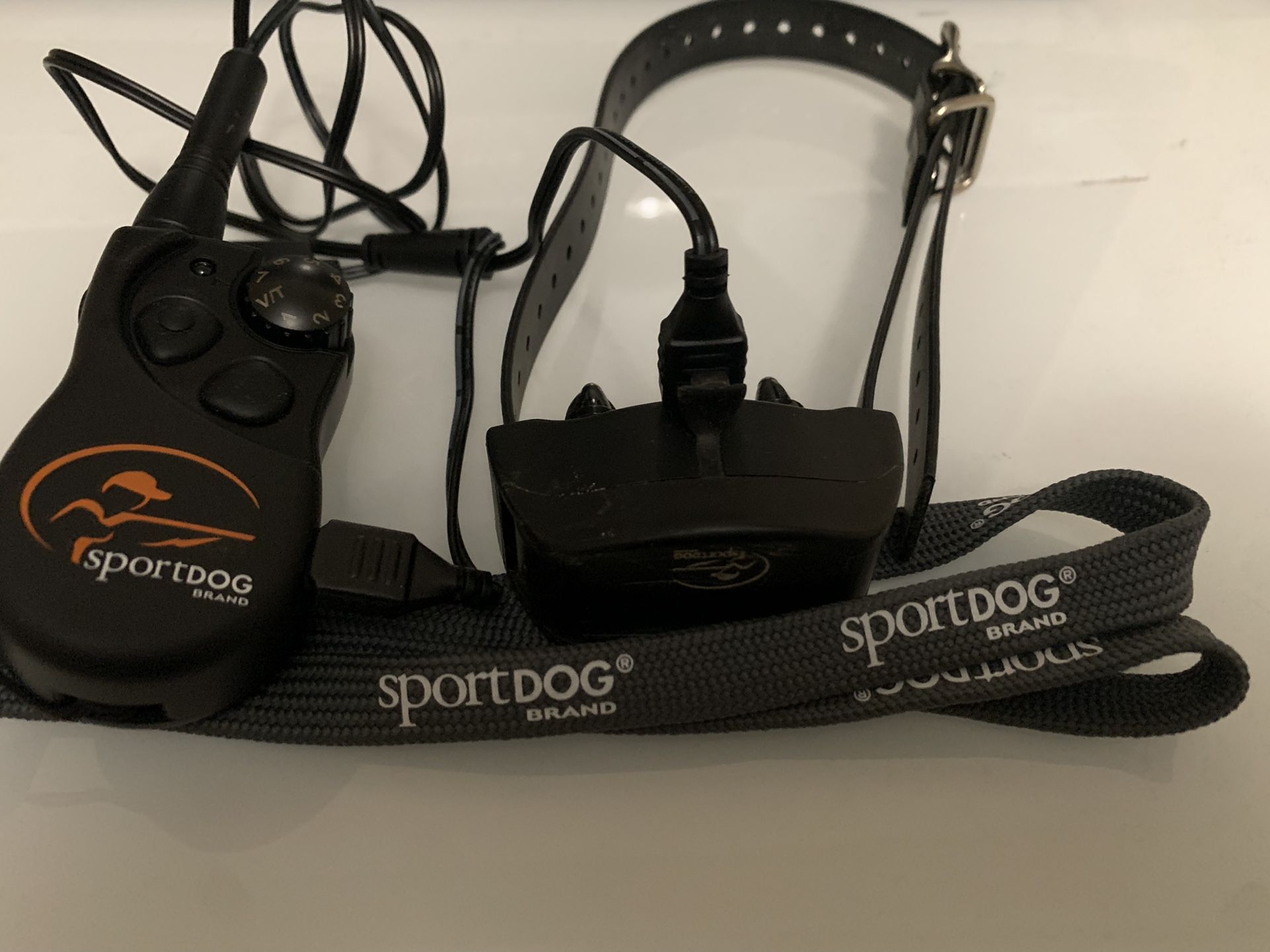 Sport Dog Collar Training
