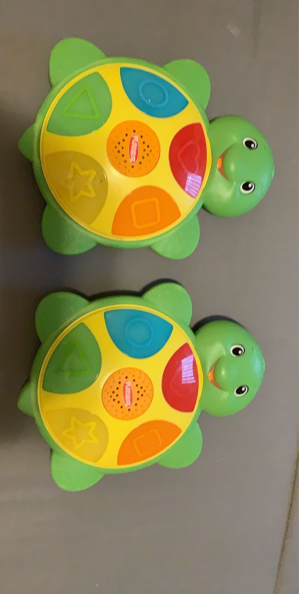 Turtle learning colors sounds