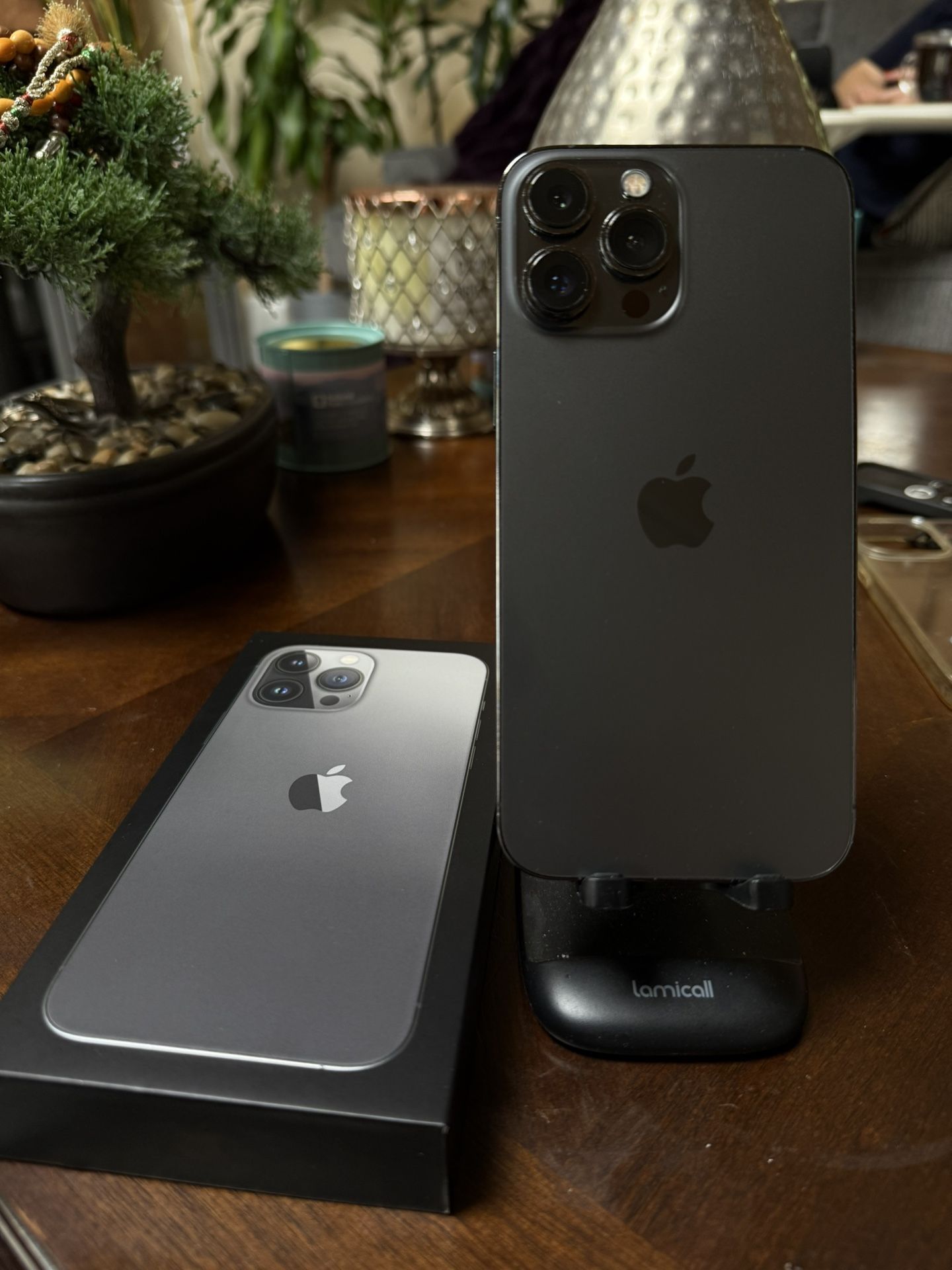 iPhone 13 Pro Max 512GB