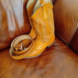 Ostrich Boots And Belt