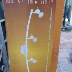 Track Light Fixture
