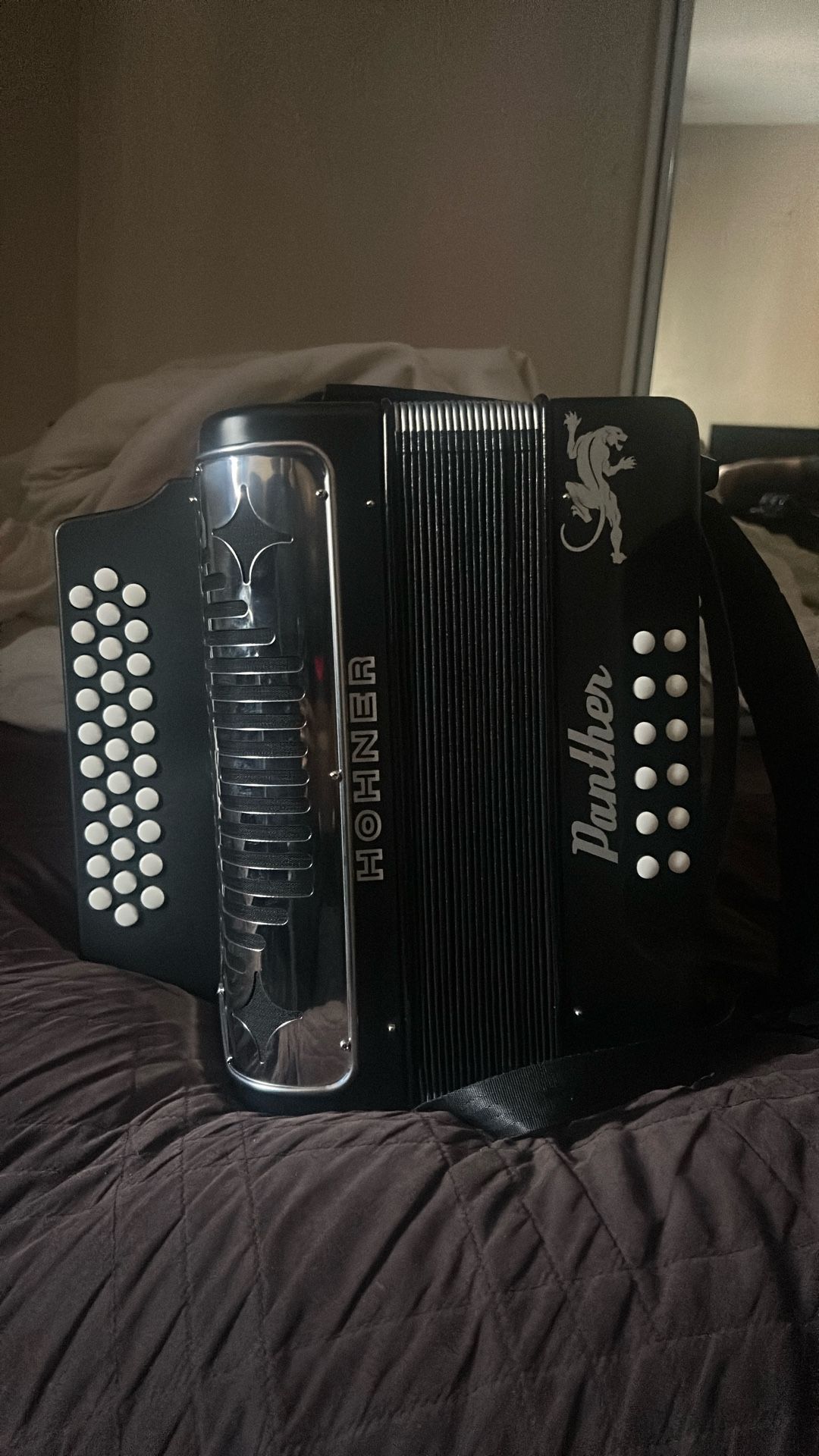 Hohner Panther Accordion