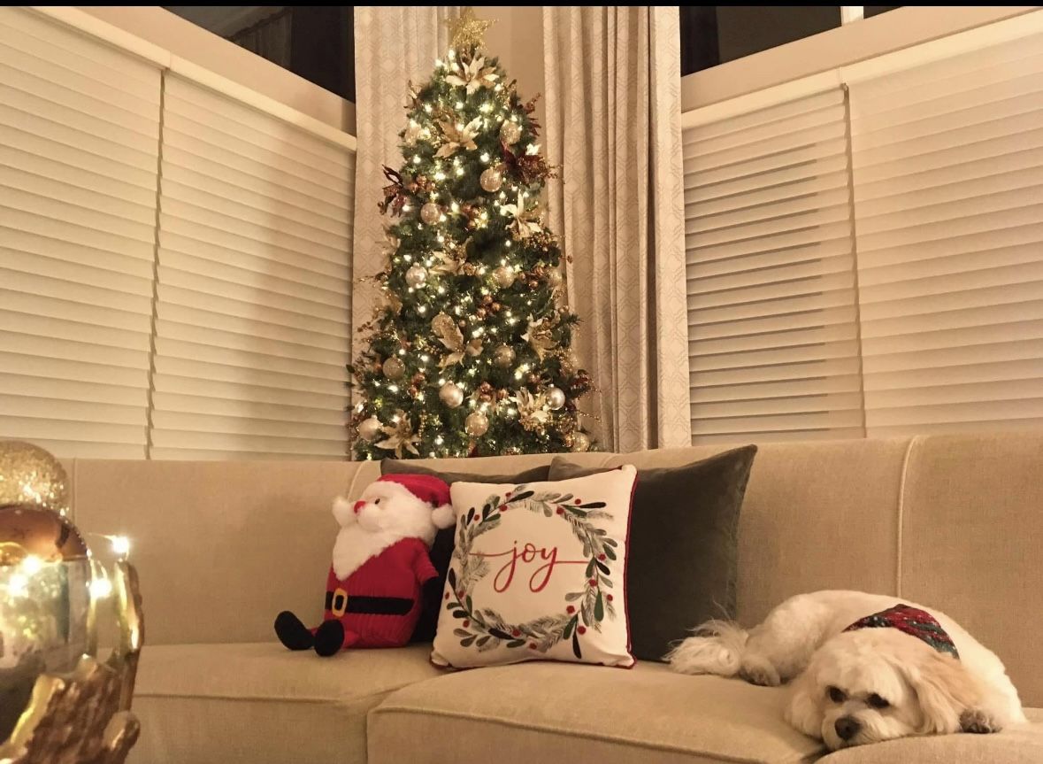 Christmas Tree with storage bag from Container Store! 🎄