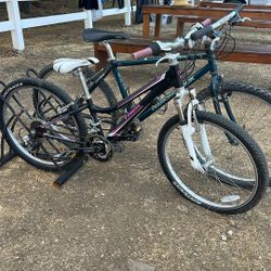 Two Mountain Bikes
