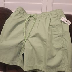 Shorts- Men's Small