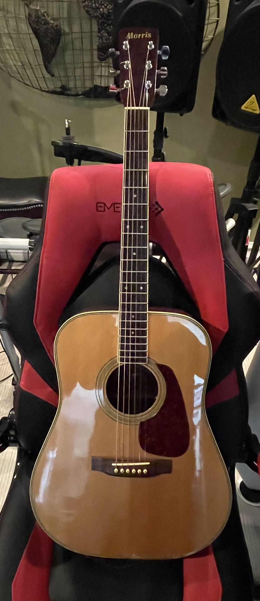 Morris Acoustic Guitar